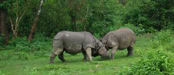 Chitwan parc national