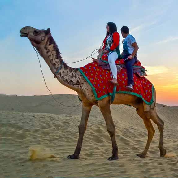 Voyage Safari de Chameau