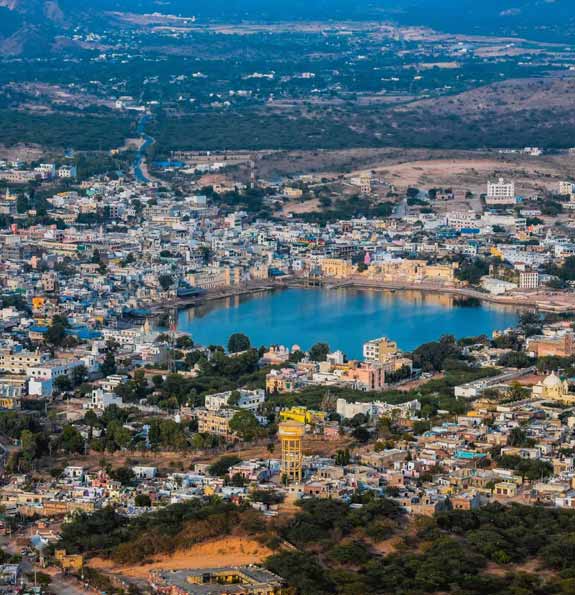 Foire aux Chameaux Pushkar