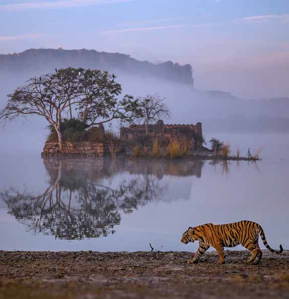 Voyage RAJASTHAN LA TERRE DES ROIS